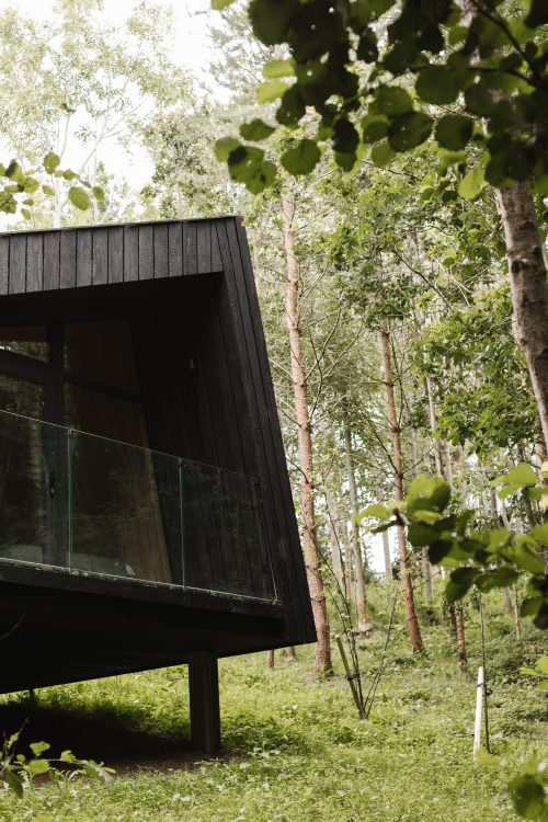 birch cabins